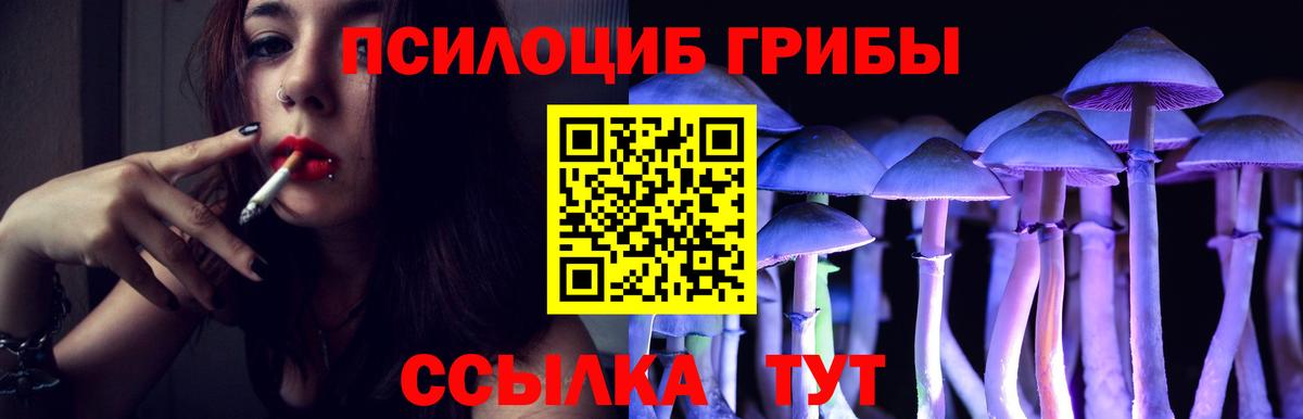 Гагарин  Псилоцибиновые грибы прущие грибы  Псилоцибиновые грибы мицелий  Вход с VPN 